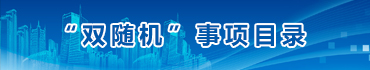 雙隨機事項目錄