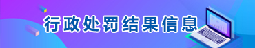 行政處罰結(jié)果信息