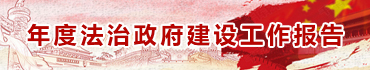 年度法制政府建設(shè)工作報告